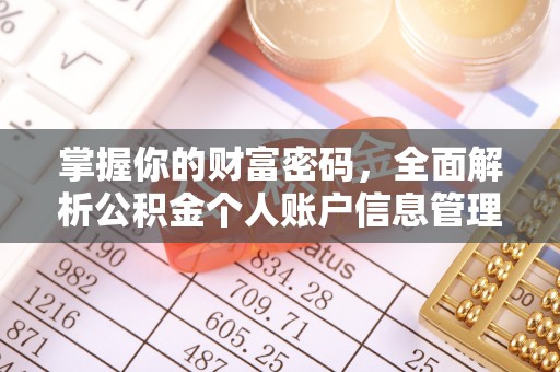 深水埗掌握你的财富密码，全面解析公积金个人账户信息管理与优化