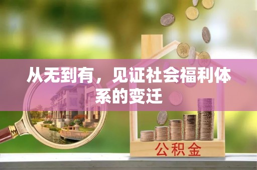深水埗从无到有，见证社会福利体系的变迁