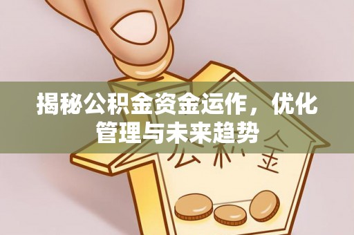 深水埗揭秘公积金资金运作，优化管理与未来趋势