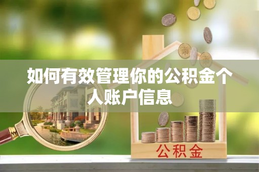 深水埗如何有效管理你的公积金个人账户信息