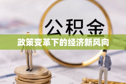 深水埗政策变革下的经济新风向